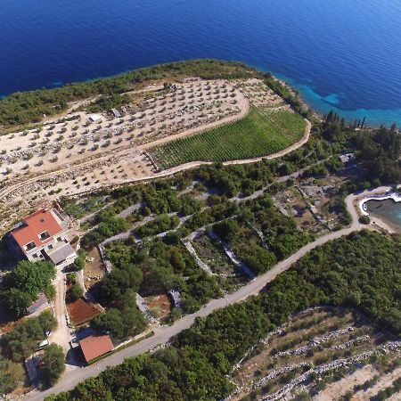 Deluxe Apartman “ Koromacna” Kneza Exterior foto